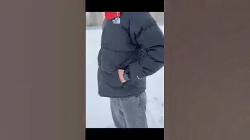 Куртка The north face 700