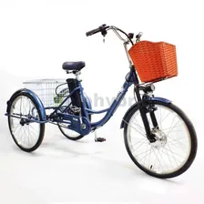 Электровелосипед Green Camel Трайк-24