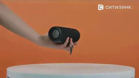 Обзор Портативной колонки JBL Flip 5 | Ситилинк