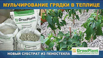 МУЛЬЧИРОВАНИЕ ГРЯДКИ В ТЕПЛИЦЕ - Новый субстрат GrowPlant из пеностекла